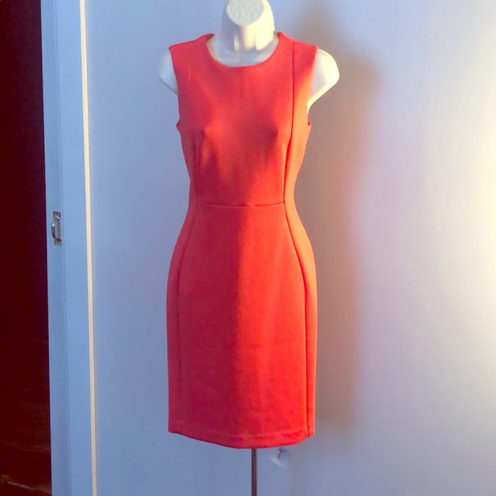 Calvin Klein Dress